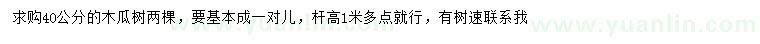 求購40公分木瓜樹(shù)