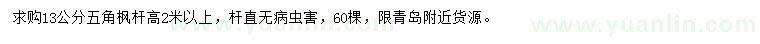 求購13公分五角楓