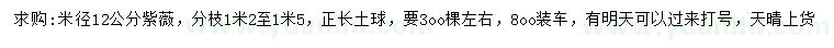 求購米徑12公分紫薇