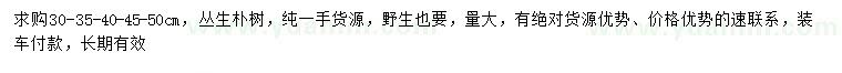 求購30、35、40、45、50公分叢生樸樹(shù)