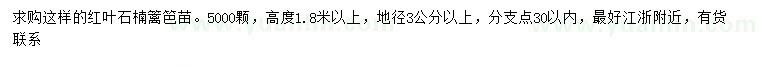 求購地徑3公分以上紅葉石楠
