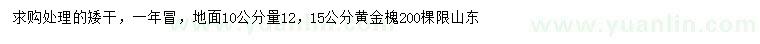 求購10公分量12、15公分黃金槐