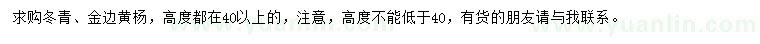 求購高40公分以上冬青、金邊黃楊