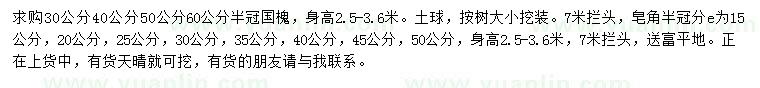 求購高2.5-3.6米國槐、皂角