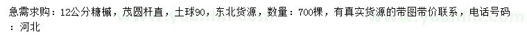 求購(gòu)12公分糖槭
