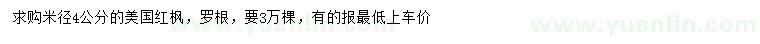 求購(gòu)米徑4公分美國(guó)紅楓