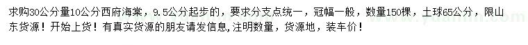 求購30公分量10公分西府海棠