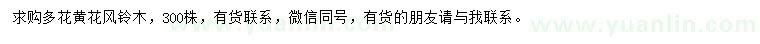 求購多花黃花風(fēng)鈴木