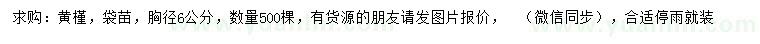 求購胸徑6公分黃槿