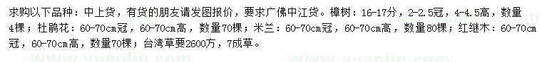 求購樟樹、杜鵑花、米蘭等