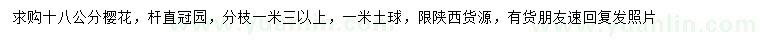 求購(gòu)18公分櫻花