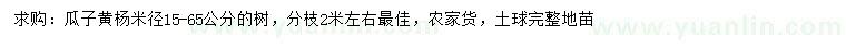 求購米徑15-65公分瓜子黃楊