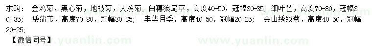 求購金雞菊、黑心菊、地被菊等