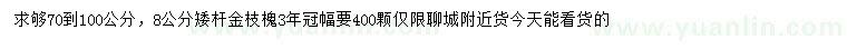 求購70-100公分金枝槐