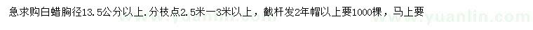 求購胸徑13.5公分以上白蠟