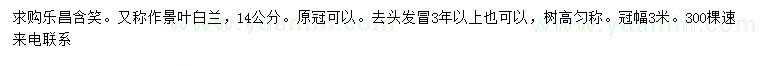求購14公分樂昌含笑