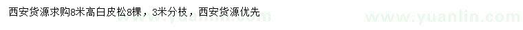 求購高8米白皮松