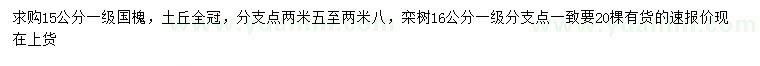 求購15公分國槐、16公分欒樹(shù)