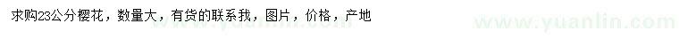 求購23公分櫻花