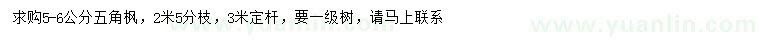 求購(gòu)5-6公分五角楓
