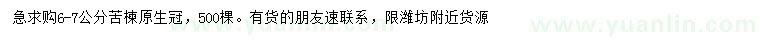 求購(gòu)6-7公分苦楝