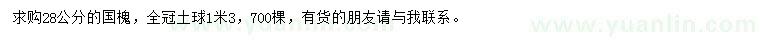 求購28公分國槐