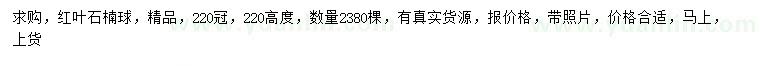 求購高220公分紅葉石楠球