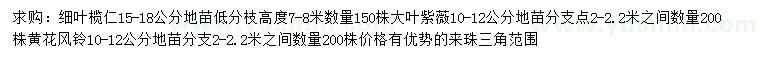 求購細葉欖仁、大葉紫薇、黃花風鈴