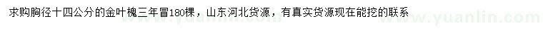 求購胸徑14公分金葉槐