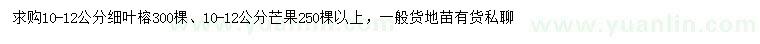 求購(gòu)10-12公分細(xì)葉榕、芒果