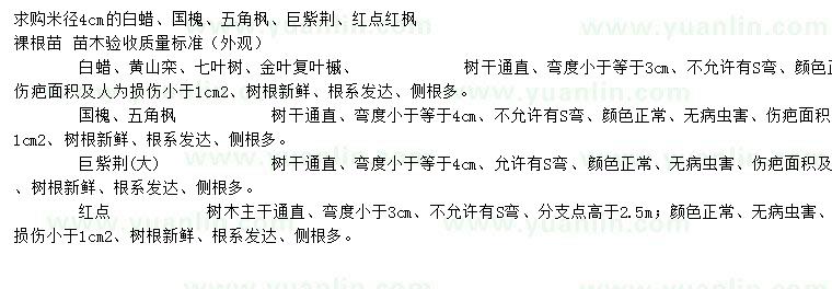 求購白蠟、國槐、五角楓等