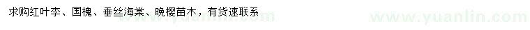 求購紅葉李、國槐、垂絲海棠等