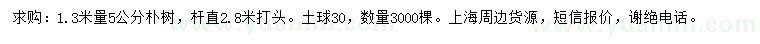 求購1.3米量5公分樸樹(shù)