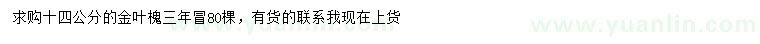 求購14公分金葉槐