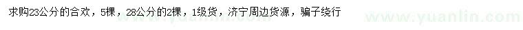 求購23、28公分合歡