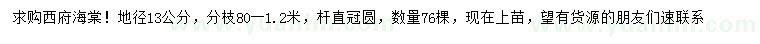 求購地徑13公分西府海棠