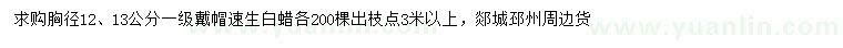 求購(gòu)胸徑12、13公分速生白蠟