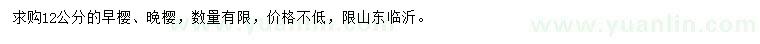 求購12公分早櫻、晚櫻