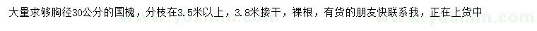 求購胸徑30公分國槐