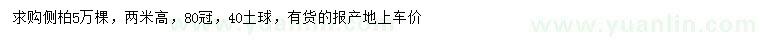求購高2米側(cè)柏