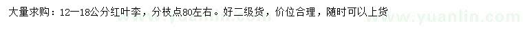 求購12-18公分紅葉李