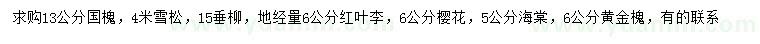 求購國槐、雪松、垂柳等