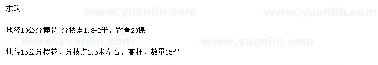 求購地徑10、15公分櫻花