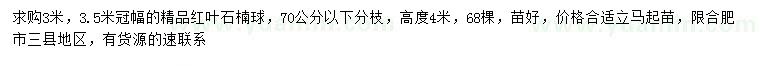 求購冠幅3、3.5米紅葉石楠球
