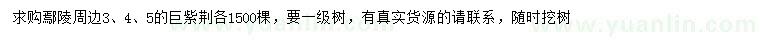 求購3、4、5公分巨紫荊
