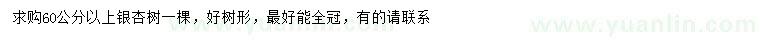 求購60公分以上銀杏