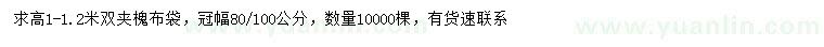 求購(gòu)高1-1.2米雙夾槐