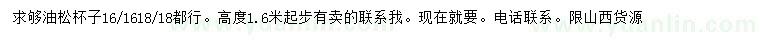 求購(gòu)高1.6米以上油松