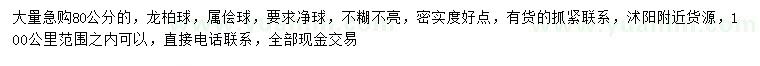 求購80公分龍柏球
