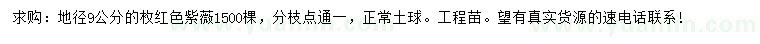 求購地徑9公分枚紅色紫薇